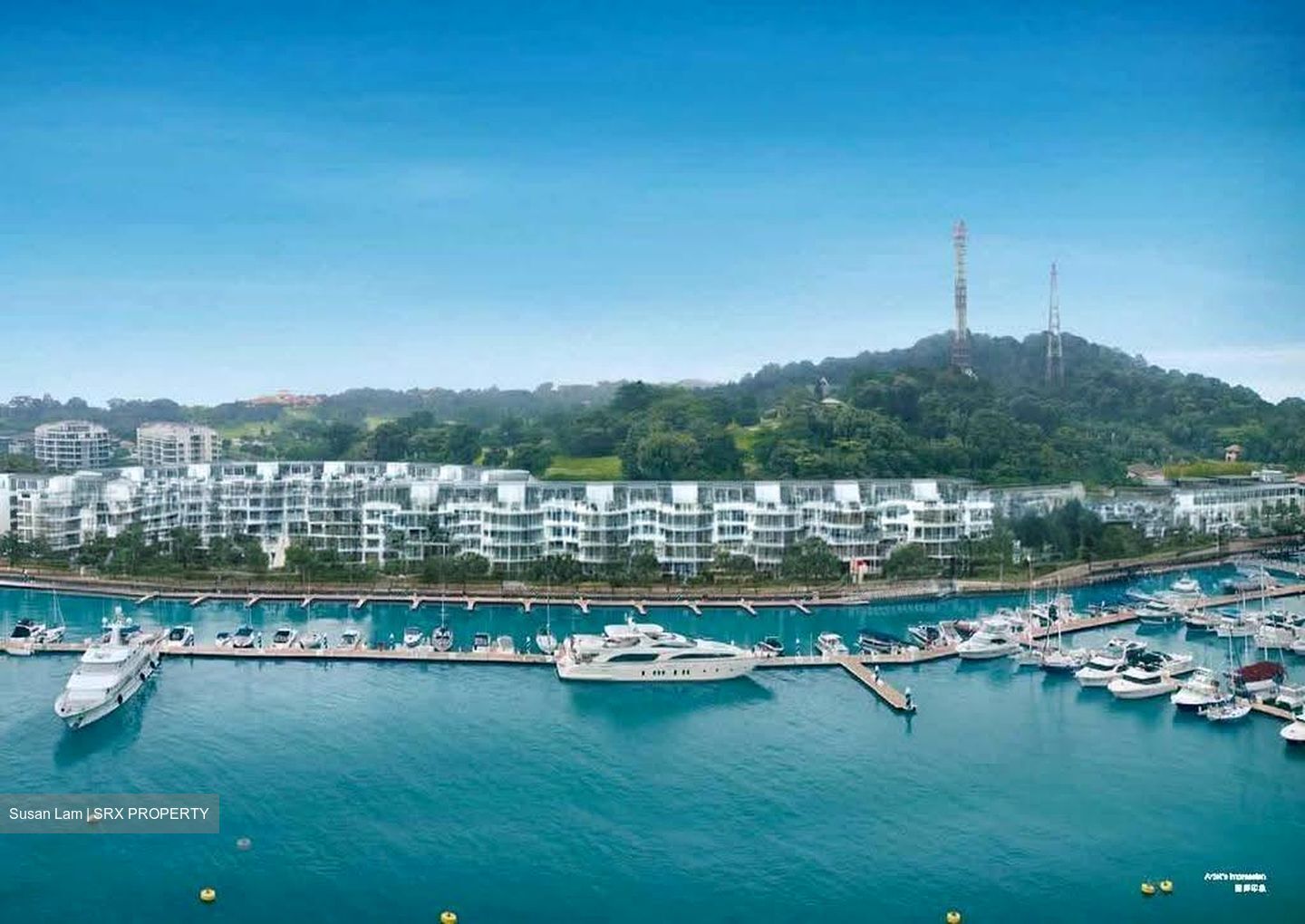 Marina Collection (D4), Condominium #638900201